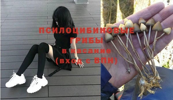 кокс Алексин